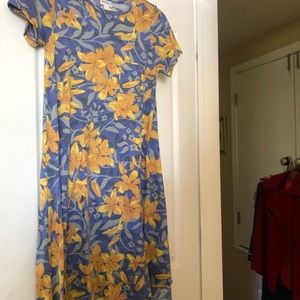 LuLaRoe Carly dress/tunic